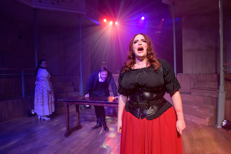 Jekyll & Hyde 6. Photo by Evan Hanover