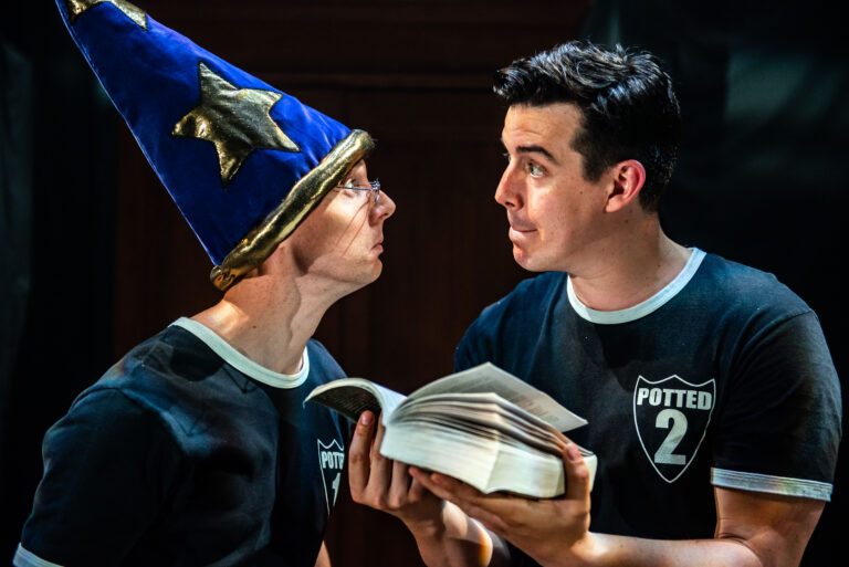 PottedPotter-ScottJoe-Dumbledore