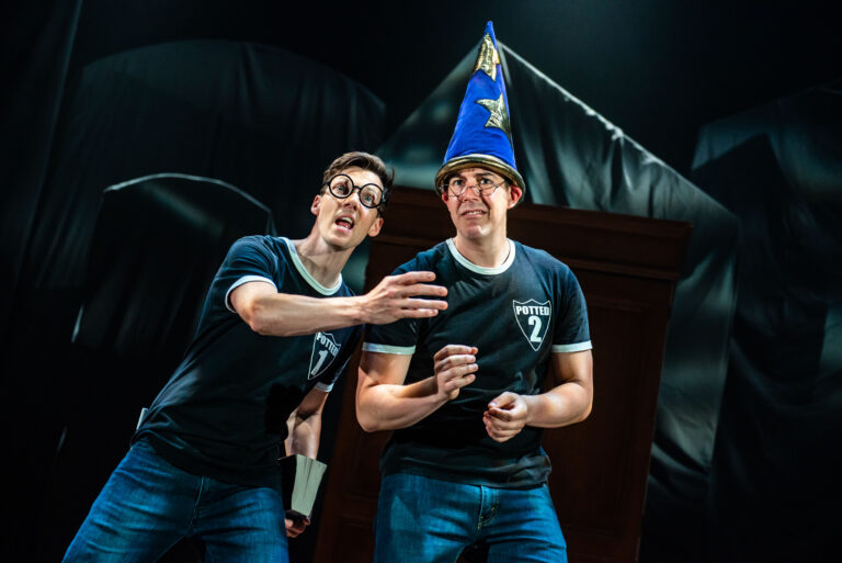 PottedPotter-ScottJoe-Dumbledore2